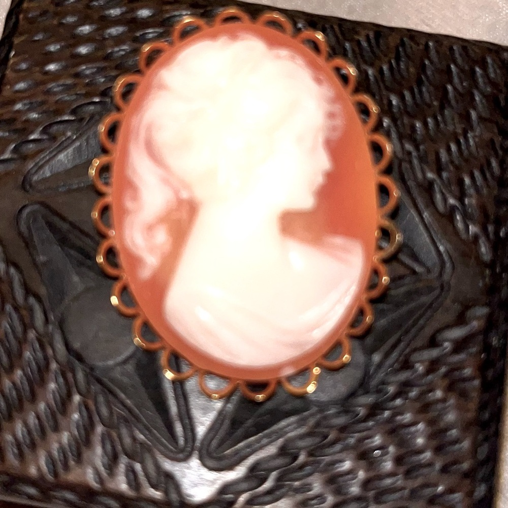 Cameos Brooch pin